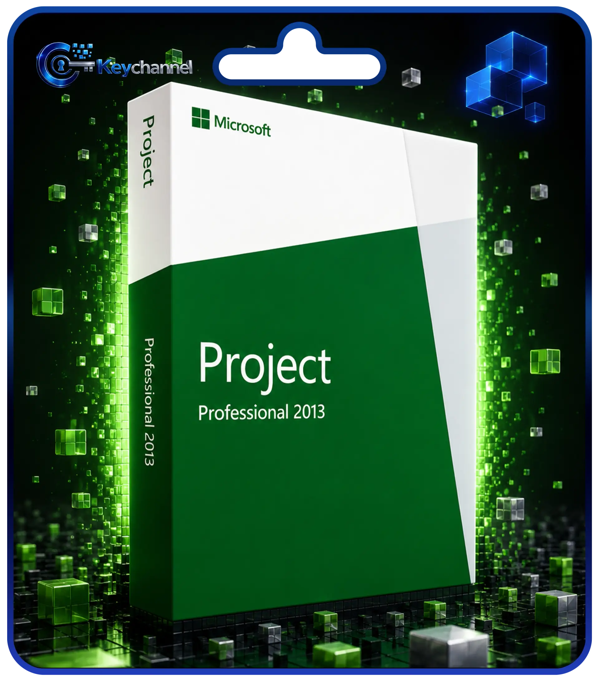 Microsoft Project Professional | Alle Versionen Project 2013 Professional | für Windows