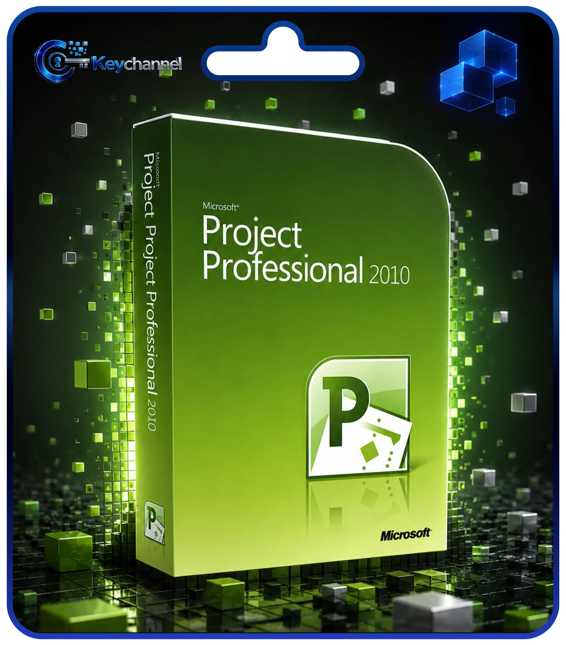 Microsoft Project Professional | Alle Versionen Project 2010 Professional | für Windows