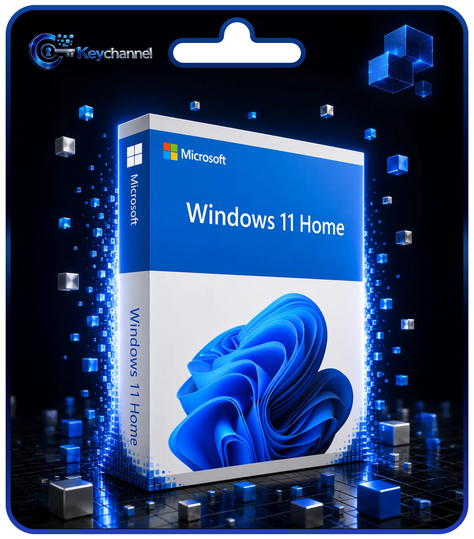 Windows 11 Professional Windows 11 Home