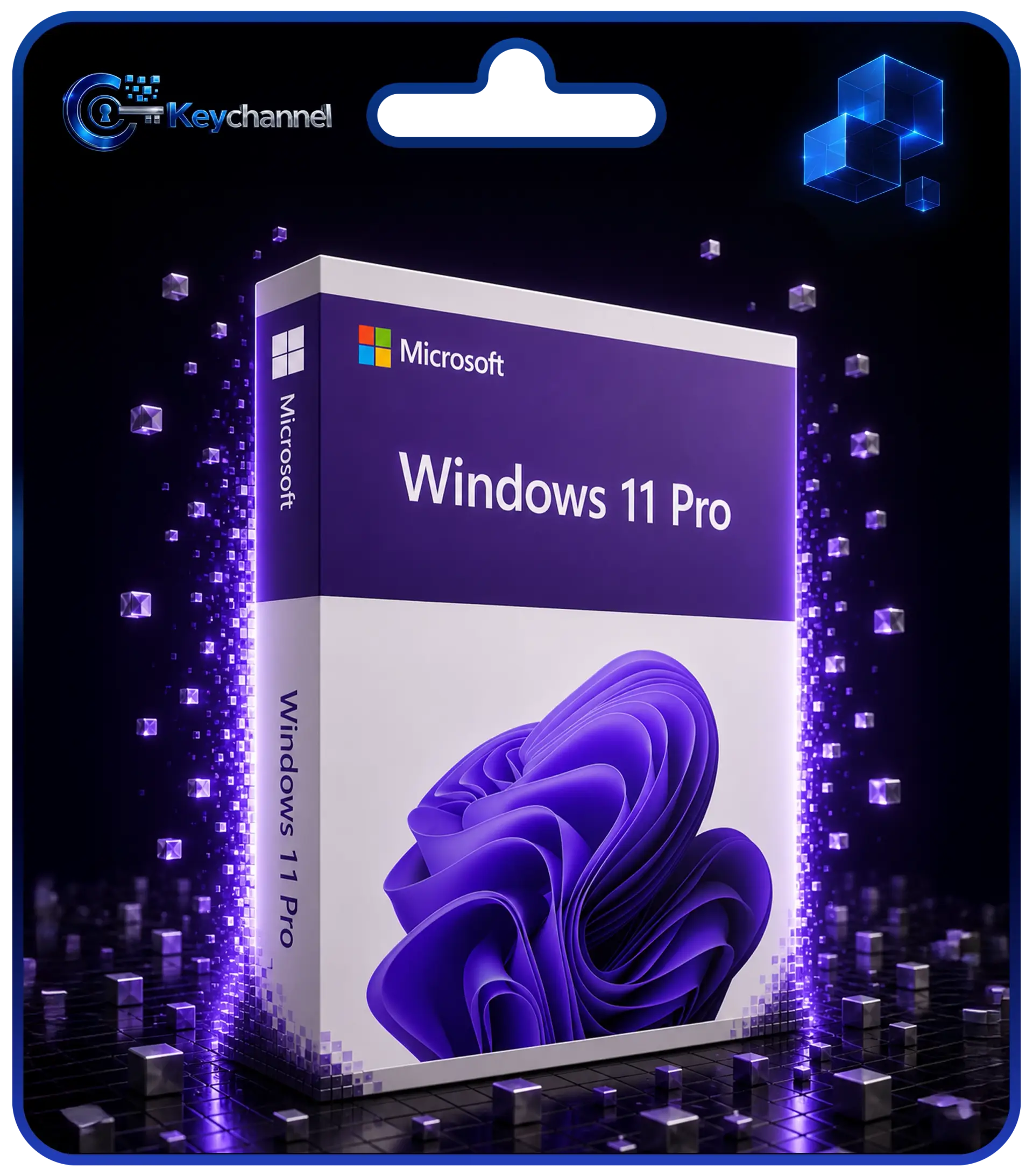 Windows 11 Professional